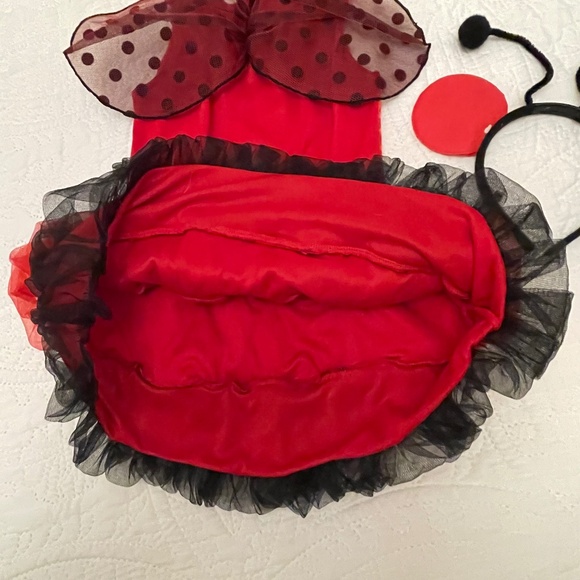 Lady Bug Costume with wings & head piece - Picture 3 of 6